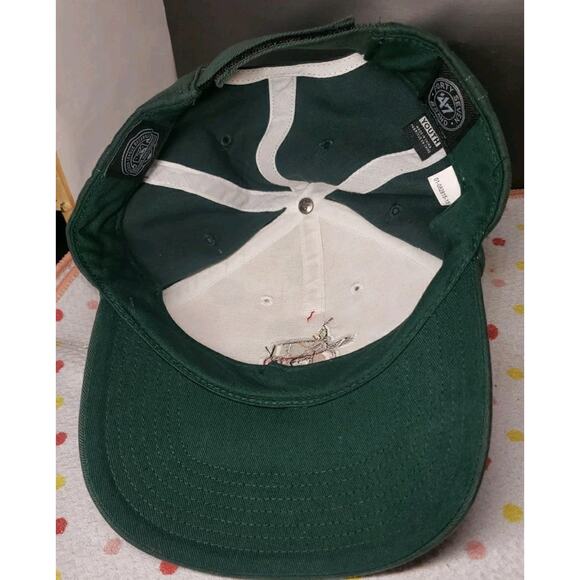 Fort Wayne TinCaps Youth MiLB OC Sports Strapback Adjustable Baseball Hat Multi - Picture 5 of 8